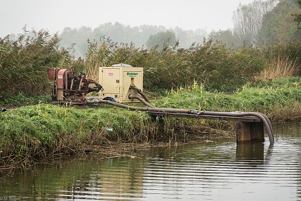 Derzeit wir der Teich abgepumpt